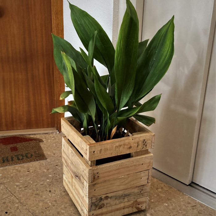 File_003